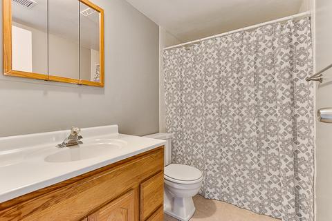 1727 Sessions Walk, Hoffman Estates, IL 60169 photo 13