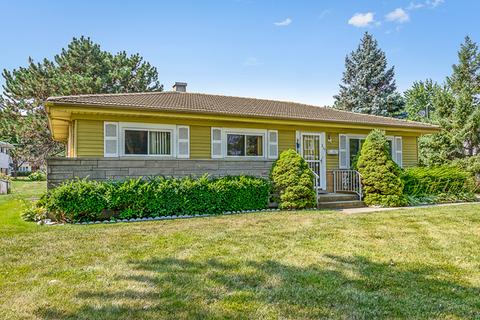 219 W Walnut Ave, Des Plaines, IL 60016 photo 1
