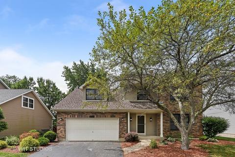253 Windsor Dr, Bartlett, IL 60103 photo 3