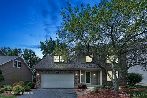 253 Windsor Dr, Bartlett, IL 60103 photo 25