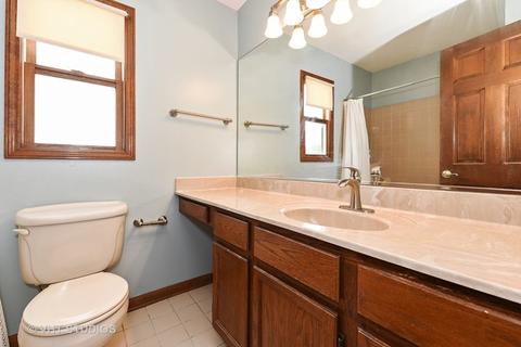 253 Windsor Dr, Bartlett, IL 60103 photo 19