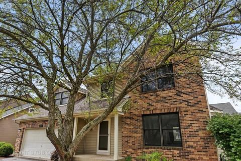 253 Windsor Dr, Bartlett, IL 60103 photo 26