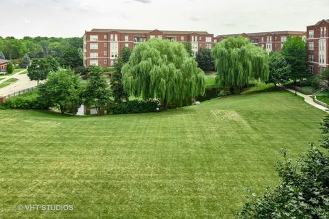 511 Prestwick Ln #403, Wheeling, IL 60090 photo 10