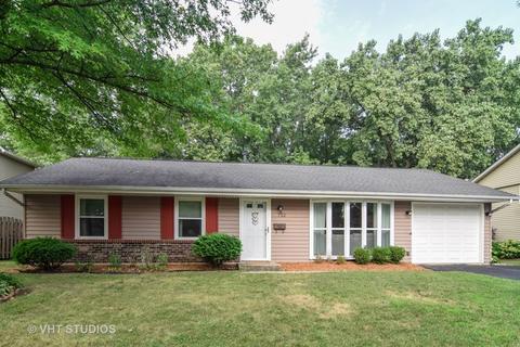752 Springfield Dr, Roselle, IL 60172 photo 1