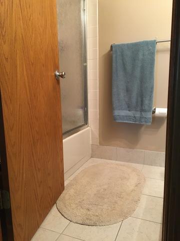 620 Alice Pl, Elgin, IL 60123 photo 28