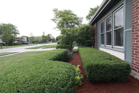 248 Whitewater Dr, Bolingbrook, IL 60440 photo 2
