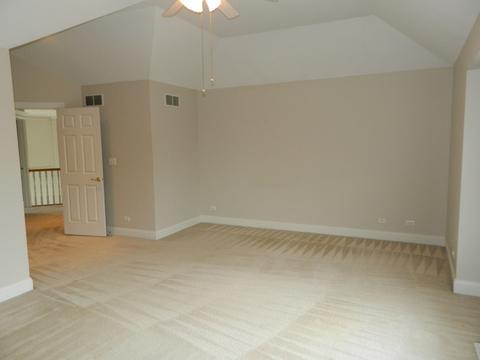 15203 Hamlin St, Plainfield, IL 60544 photo 18