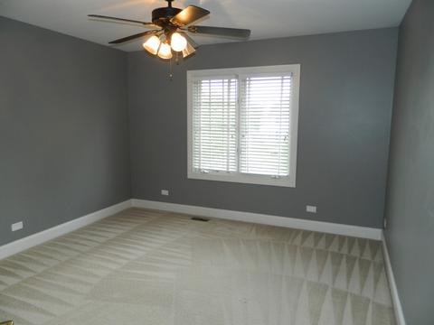 15203 Hamlin St, Plainfield, IL 60544 photo 23
