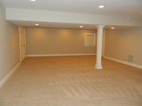 15203 Hamlin St, Plainfield, IL 60544 photo 28