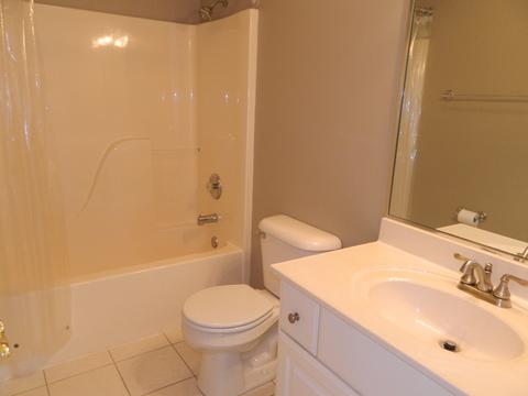 15203 Hamlin St, Plainfield, IL 60544 photo 26