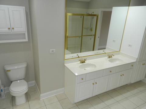 15203 Hamlin St, Plainfield, IL 60544 photo 20