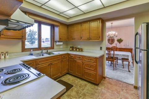 462 Miller St, Beecher, IL 60401 photo 5