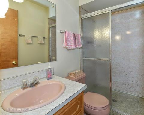 462 Miller St, Beecher, IL 60401 photo 12