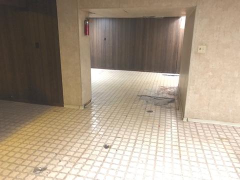 1670 Locust St, Des Plaines, IL 60018 photo 18