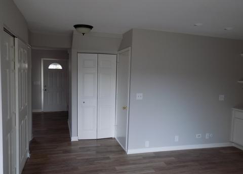 1396 Bow String Ct, Carol Stream, IL 60188 photo 9