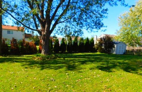 1396 Bow String Ct, Carol Stream, IL 60188 photo 7