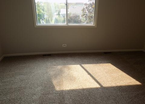 1396 Bow String Ct, Carol Stream, IL 60188 photo 25