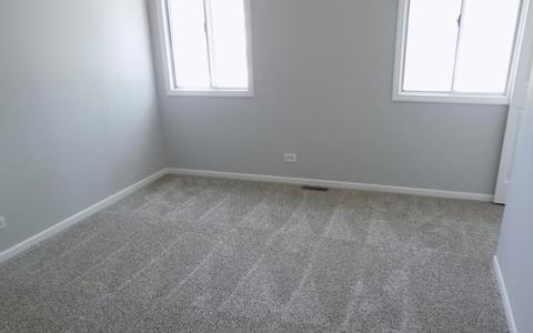 1396 Bow String Ct, Carol Stream, IL 60188 photo 24