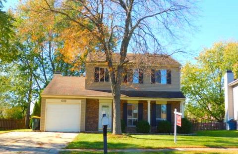 1396 Bow String Ct, Carol Stream, IL 60188 photo 1