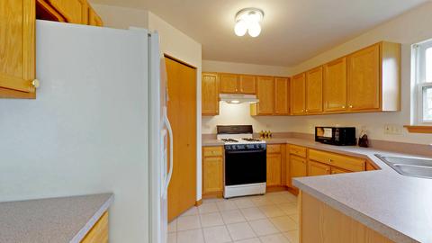 233 S Berkley Dr, Round Lake, IL 60073 photo 7