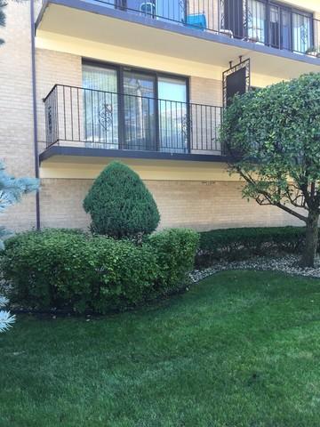 1441 E Thacker St #202, Des Plaines, IL 60016 photo 11