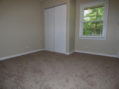 266 Thomas St, Cary, IL 60013 photo 11