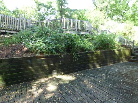 266 Thomas St, Cary, IL 60013 photo 16