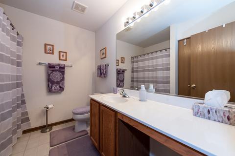 2949 Falling Waters Dr, Lindenhurst, IL 60046 photo 18