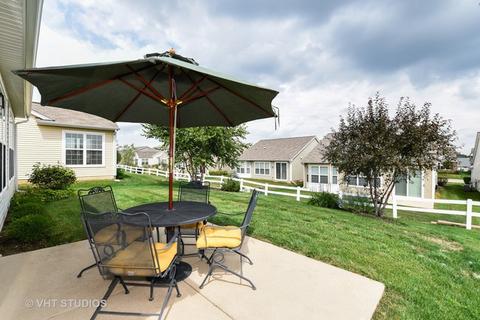 847 Butterfly Field Dr, Elgin, IL 60124 photo 14