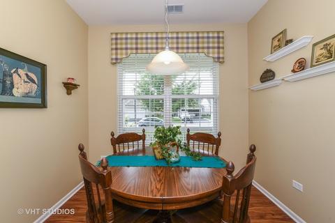 847 Butterfly Field Dr, Elgin, IL 60124 photo 8
