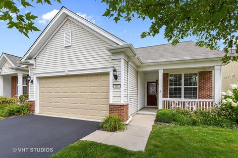 847 Butterfly Field Dr, Elgin, IL 60124 photo 1