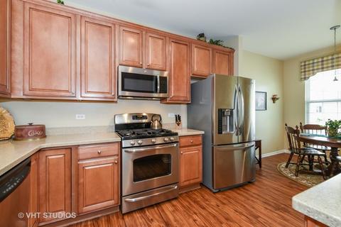 847 Butterfly Field Dr, Elgin, IL 60124 photo 6
