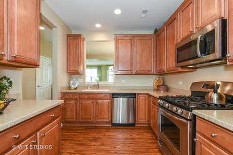 847 Butterfly Field Dr, Elgin, IL 60124 photo 5