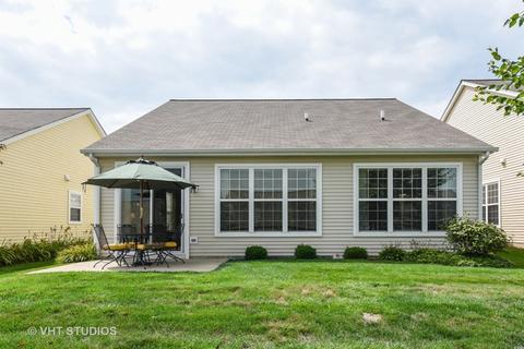 847 Butterfly Field Dr, Elgin, IL 60124 photo 15