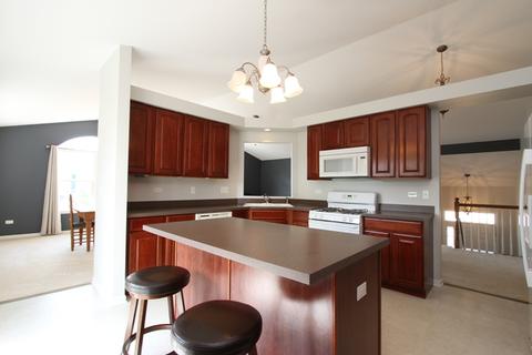 5209 Glenbrook Trl, Mchenry, IL 60050 photo 8