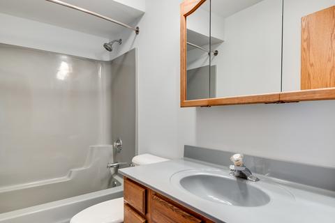 55 Deeke Ct, Roselle, IL 60172 photo 16