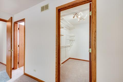 55 Deeke Ct, Roselle, IL 60172 photo 11