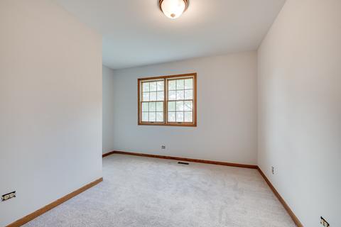 55 Deeke Ct, Roselle, IL 60172 photo 14