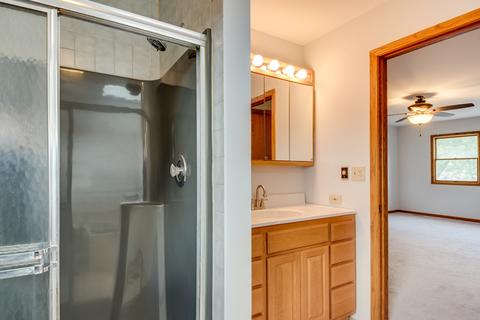 55 Deeke Ct, Roselle, IL 60172 photo 12