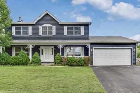 55 Deeke Ct, Roselle, IL 60172 photo 1