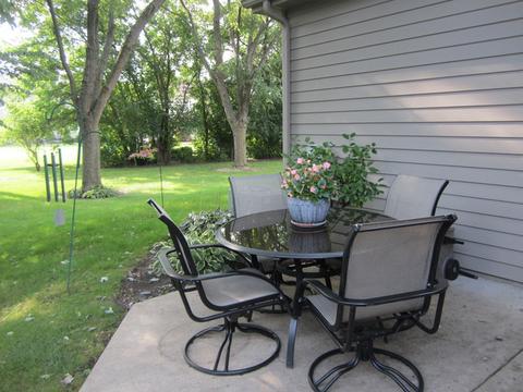 120 Deer Run Ln, Elgin, IL 60120 photo 21