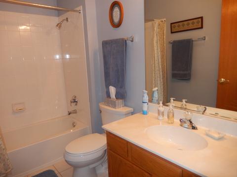 21436 W Douglas Ln, Plainfield, IL 60544 photo 15