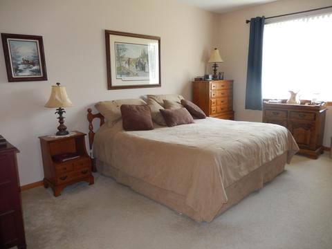 21436 W Douglas Ln, Plainfield, IL 60544 photo 19