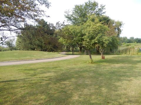 21436 W Douglas Ln, Plainfield, IL 60544 photo 34