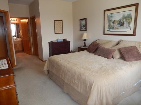 21436 W Douglas Ln, Plainfield, IL 60544 photo 21