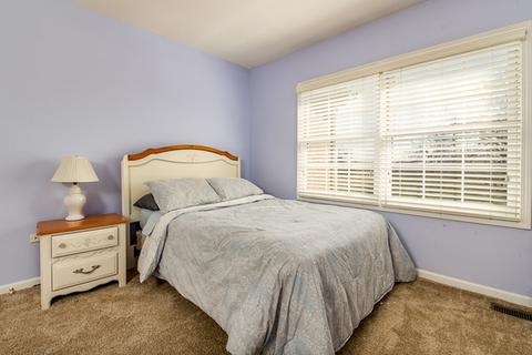 1167 Litchfield Ln, Bartlett, IL 60103 photo 21