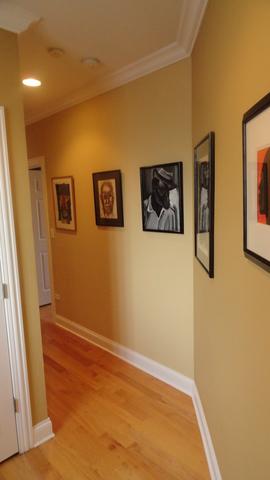 471 E Bowen Ave #3, Chicago, IL 60653 photo 7