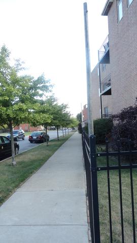 471 E Bowen Ave #3, Chicago, IL 60653 photo 20