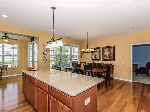 868 Voyage Way, Elgin, IL 60124 photo 10