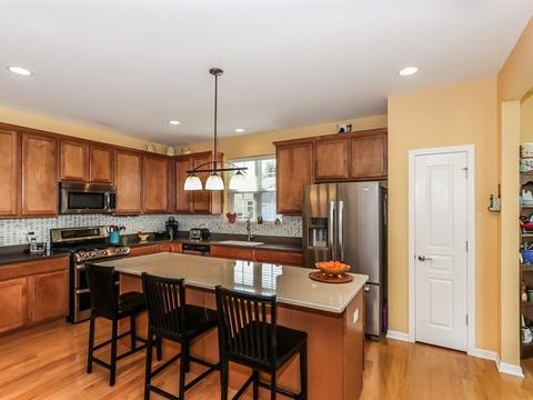 868 Voyage Way, Elgin, IL 60124 photo 8